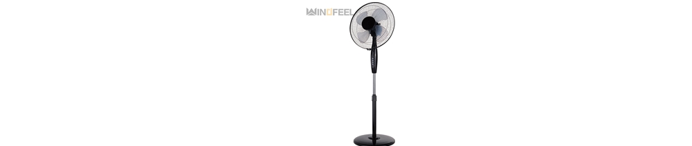 Stand Fan
