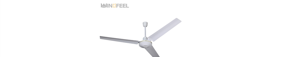 Ceiling Fan