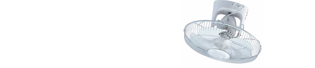 Orbit Fan
